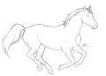 Horse Drawing Easy