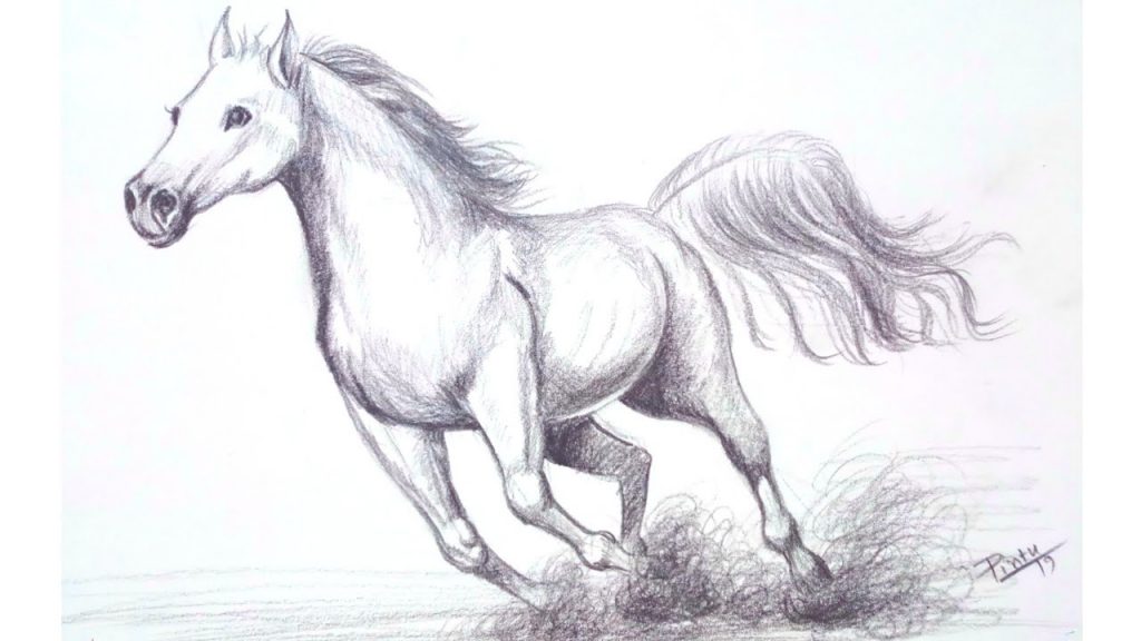 15 Horse Drawing Ideas - Visual Arts Ideas