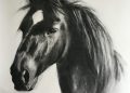 Horse Drawing Realistic