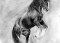 Horse Drawing Realistic Image