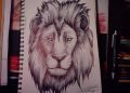Lion Head Drawing with Pencil