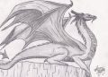 Realistic Drawing A Dragon