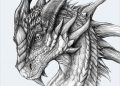 Realistic Drawing A Dragon Images