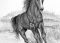 Realistic Horse Drawing Image