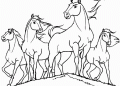 Spirit Riding Coloring Pages Pictures