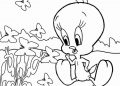 Tweety Bird Coloring Pages with Flowers