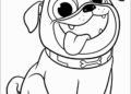 Puppy Dog Pals Coloring Pages Pictures